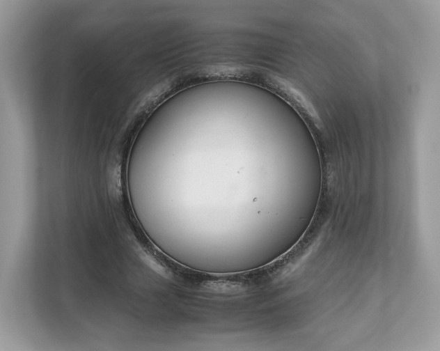 X0000111880633200907301138