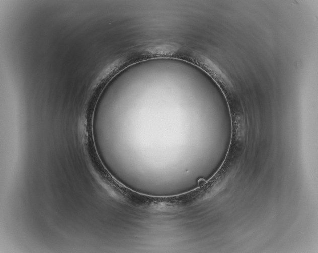 X0000111880634200907301138