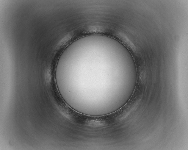 X0000111880635200907301138