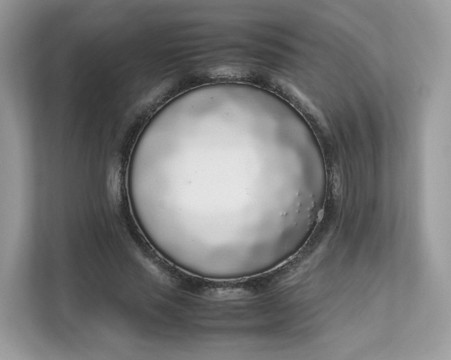 X0000111880637200907301138