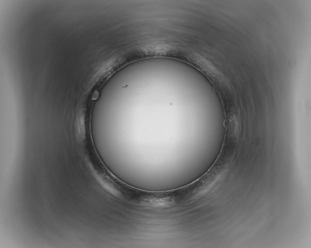 X0000111880638200907301138