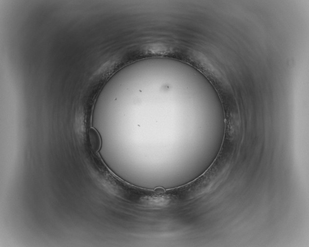 X0000111880639200907301138