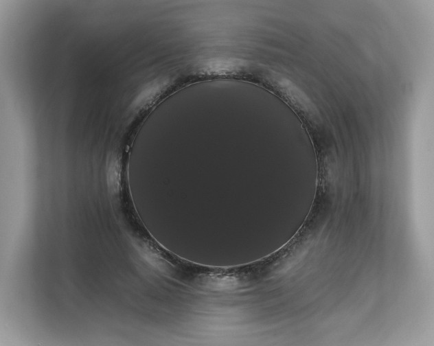 X0000111880640200907301138