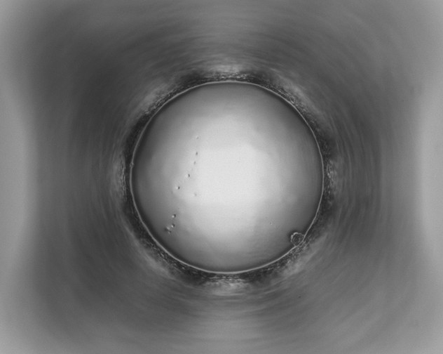 X0000111880642200907301138