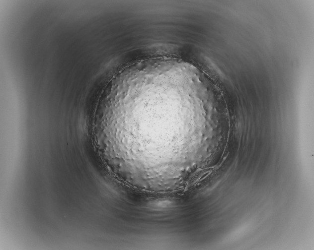 X0000111880643200907301138