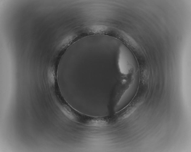 X0000111880644200907301138