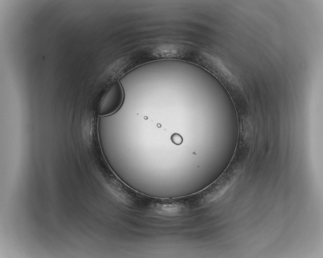 X0000111880645200907301138