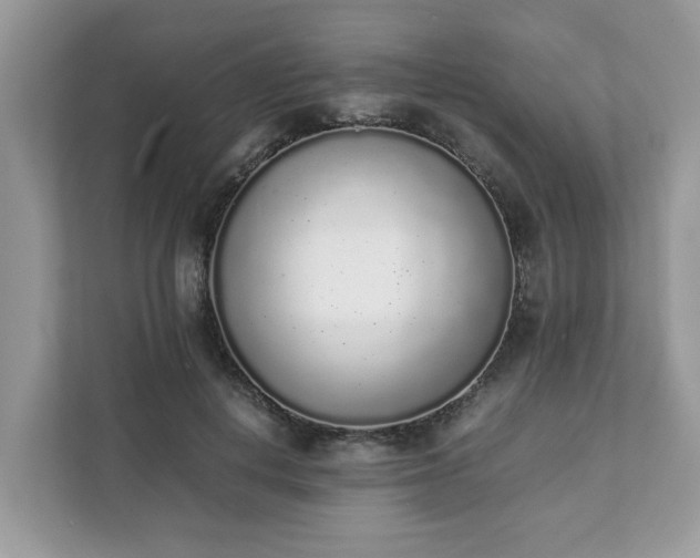 X0000111880648200907301138