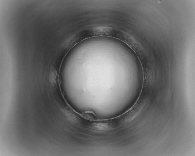 X0000111880649200907301138