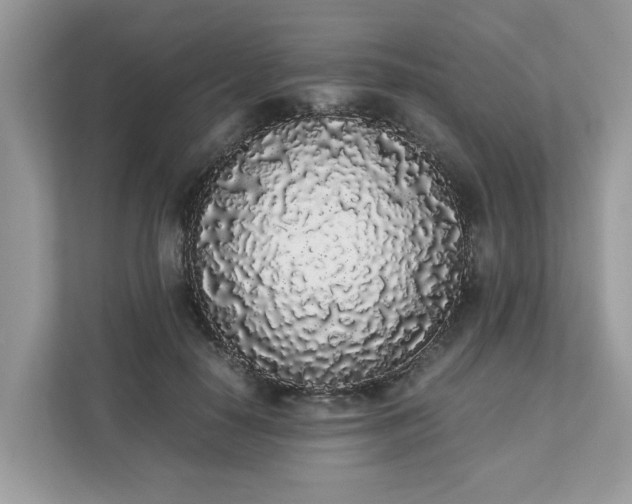 X0000111880650200907301138