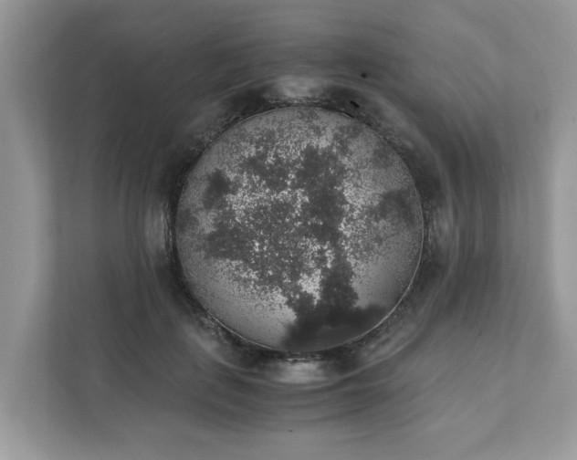 X0000111880651200907301138