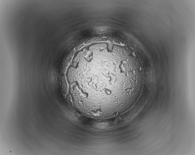 X0000111880653200907301138