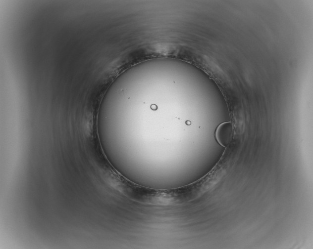 X0000111880656200907301138