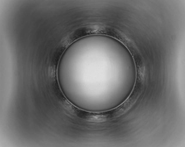 X0000111880657200907301138