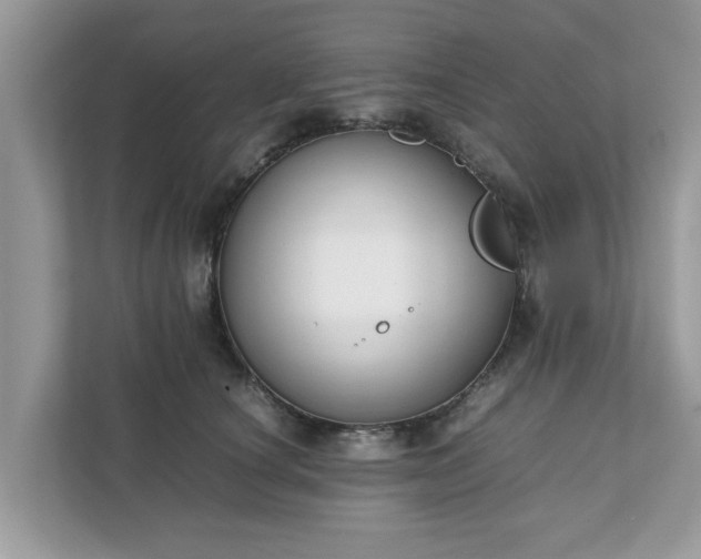 X0000111880660200907301138