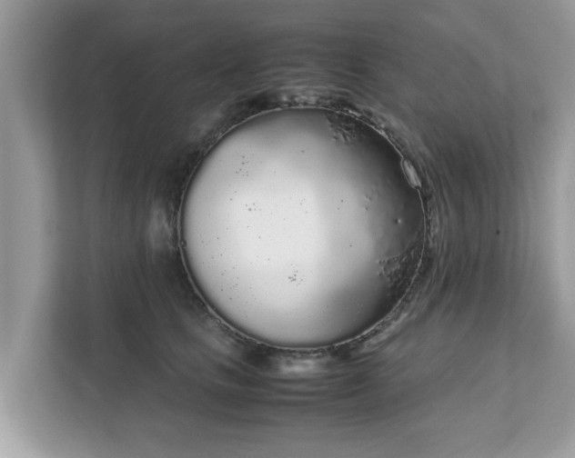 X0000111880661200907301138
