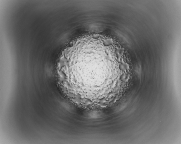 X0000111880663200907301138