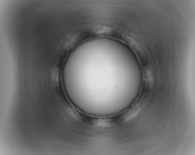X0000111880664200907301138
