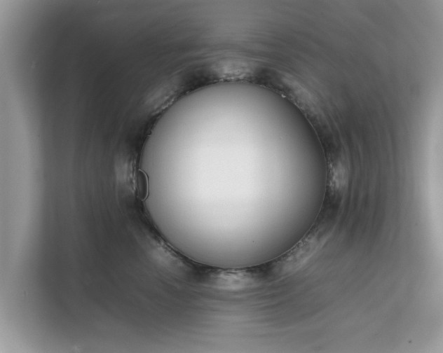 X0000111880666200907301138