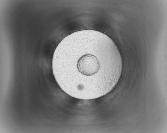X0000111880672200907301138