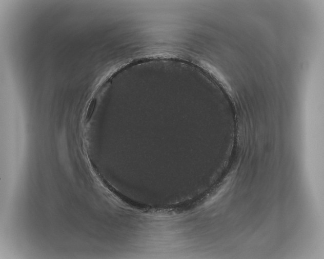 X0000111880673200907301138