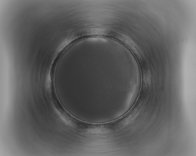 X0000111880674200907301137