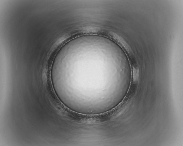 X0000111880675200907301137