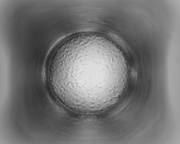 X0000111880676200907301137