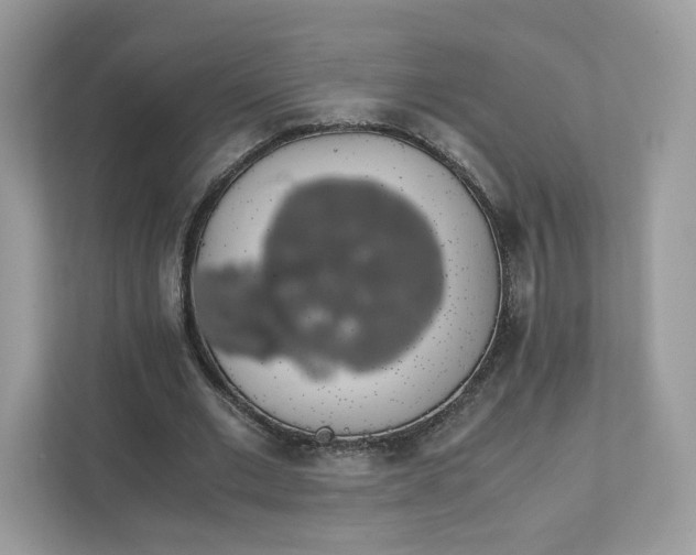 X0000111880677200907301137