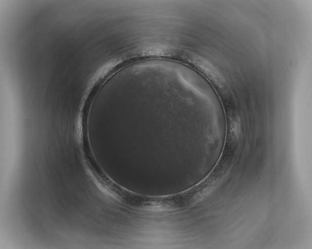 X0000111880678200907301137