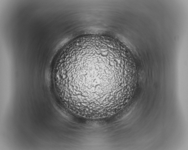 X0000111880679200907301137