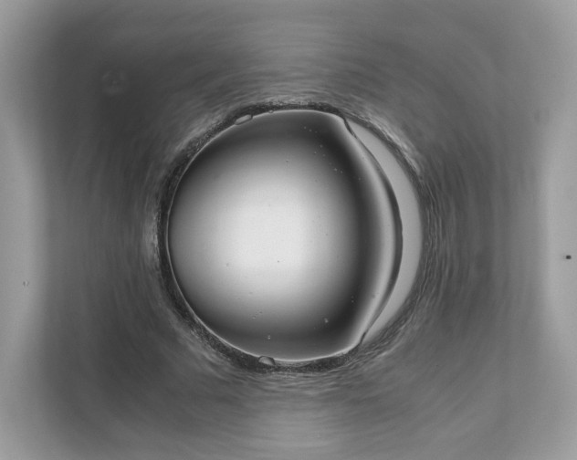 X0000111880681200907301137