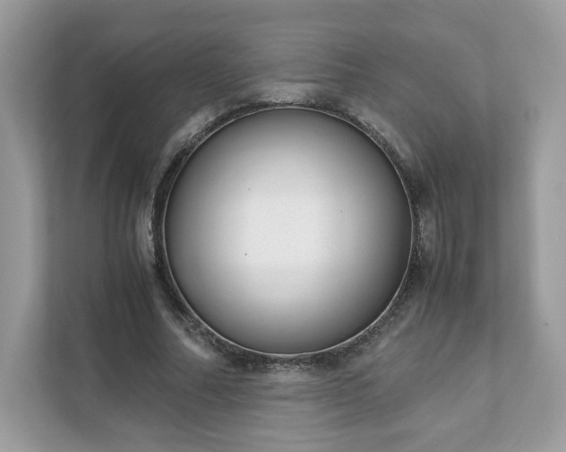 X0000111880682200907301137