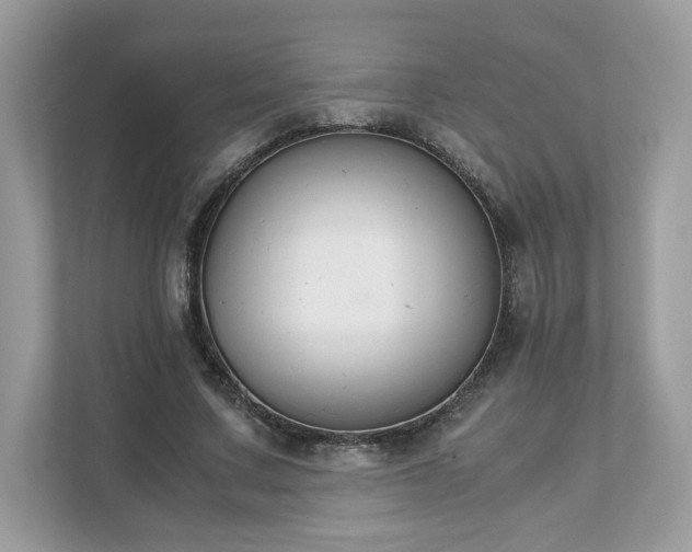 X0000111880683200907301137