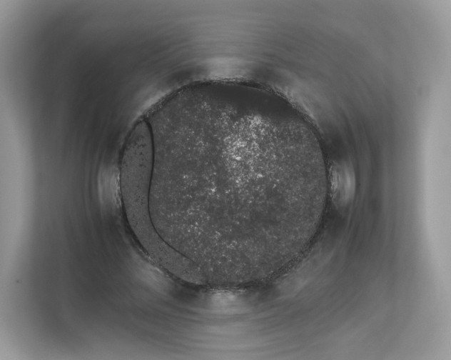 X0000111880684200907301137