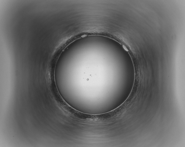 X0000111880688200907301137