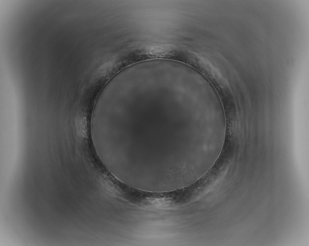 X0000111880689200907301137