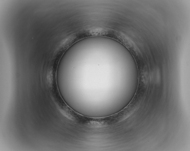 X0000111880690200907301137