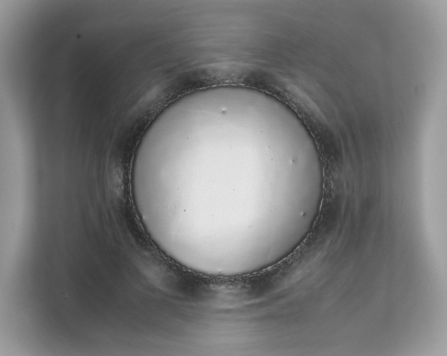 X0000111880693200907301137