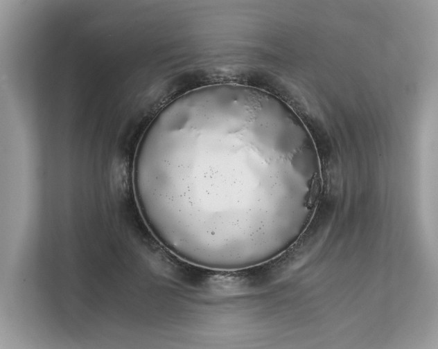 X0000111880699200907301137