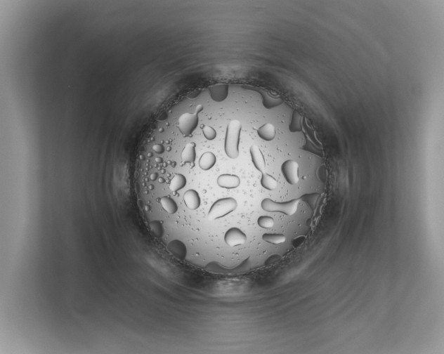 X0000111880700200907301137