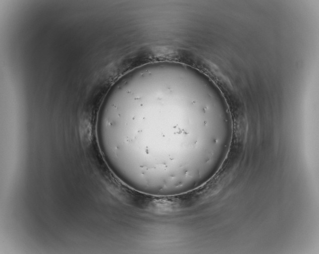 X0000111880703200907301137