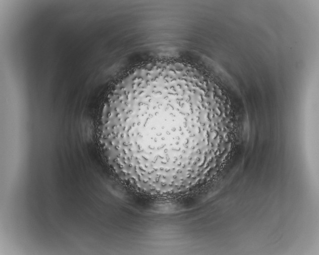 X0000111880704200907301137