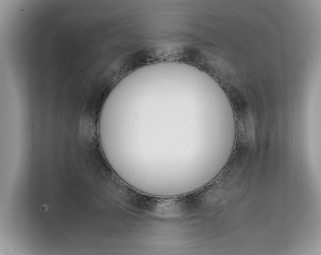 X0000111880705200907301137