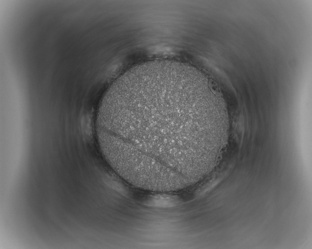 X0000111880708200907301137