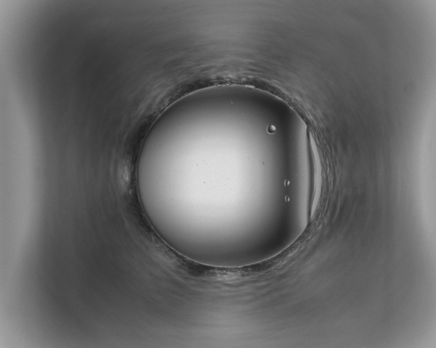 X0000111880709200907301137