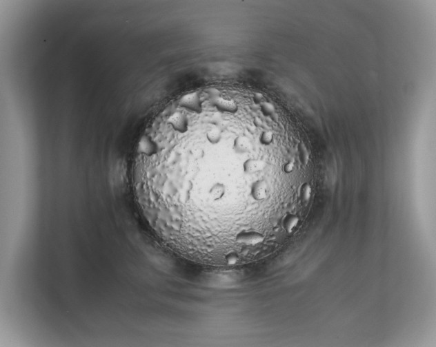 X0000111880711200907301137