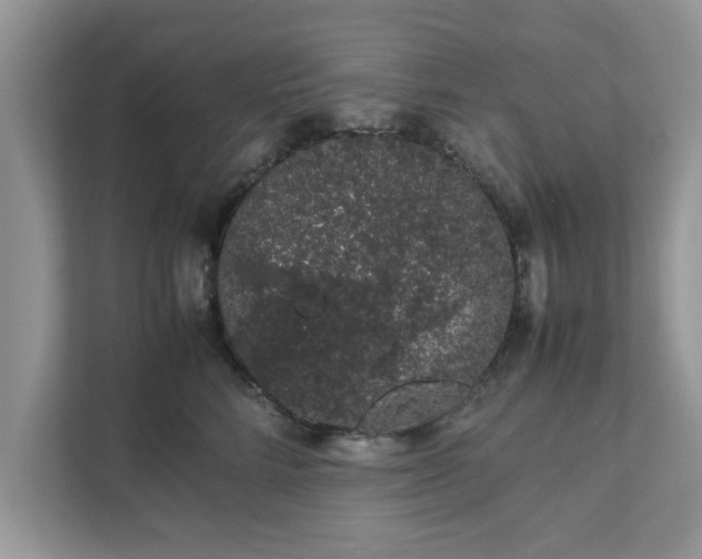 X0000111880712200907301137