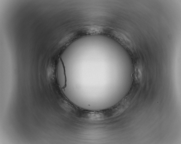 X0000111880714200907301137