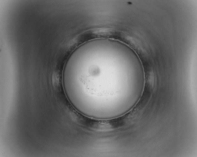 X0000111880715200907301137